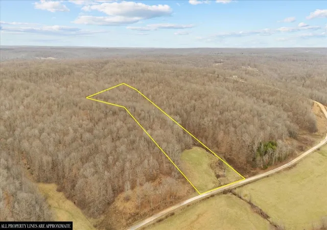 Homes for sale in Waverly, TN | 0 Jack Saunder Rd, Waverly, TN 37185 | MLS# 2790884