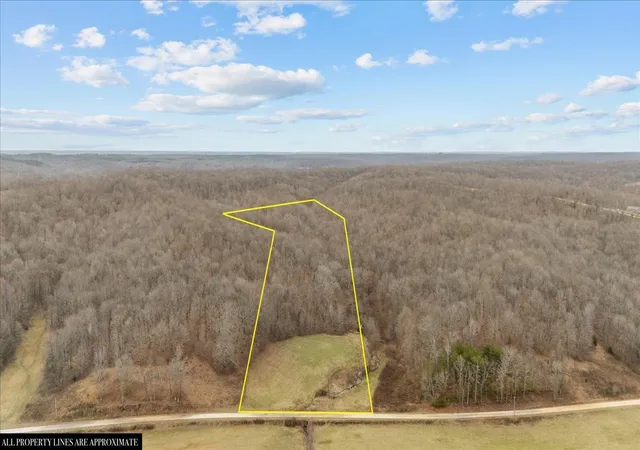 Homes for sale in Waverly, TN | 0 Jack Saunder Rd, Waverly, TN 37185 | MLS# 2790884