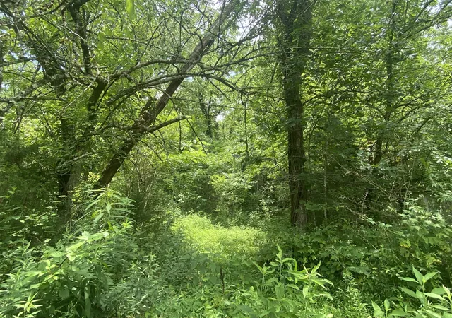 Photo 16 of Land for sale at 0 Smith Frk Rd, Liberty, TN 37095 | MLS# 2792423 | Listing updated on 2025-02-18