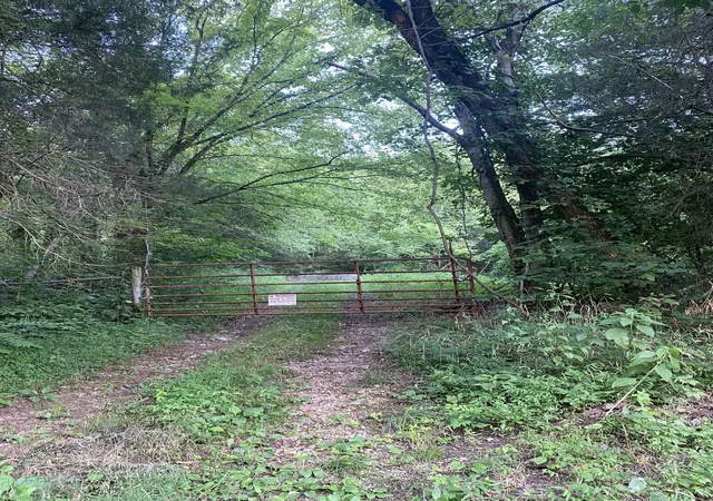 Photo 2 of Land for sale at 0 Smith Frk Rd, Liberty, TN 37095 | MLS# 2792423 | Listing updated on 2025-02-18