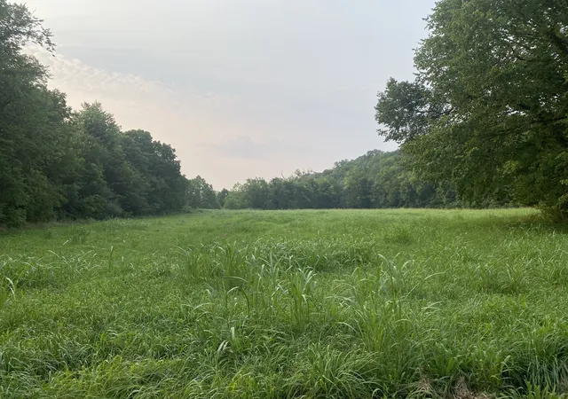 Photo 4 of House for sale at 0 Smith Frk Rd, Liberty, TN 37095 | MLS# 2792423 | Listing updated on 2025-02-18