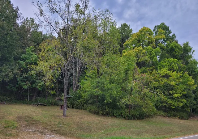 4th image of 5530 Lowe Rd, Murfreesboro, TN 37127 | MLS# 2793279
