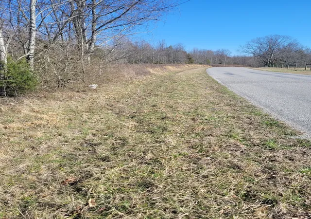 Homes for sale in Prospect, TN | 0 Cowhorne Hollow Rd, Prospect, TN 38477 | MLS# 2797145