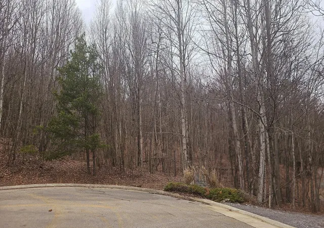 Photo 3 of Land for sale at 0 Mountain Top Trl, Dunlap, TN 37327 | MLS# 2796879 | Listing updated on 2025-03-28