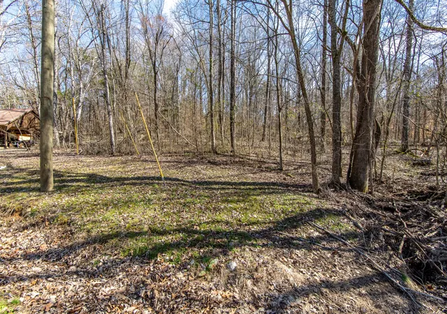 Homes for sale in Savannah, TN | 0 Salt Ln, Savannah, TN 38372 | MLS# 2796907