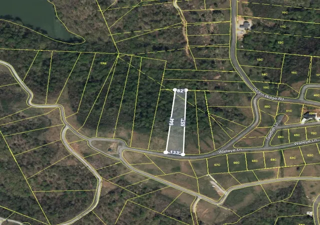 20th image of 0 Mallard Road, Hilham, TN 38568 | MLS# 2797033