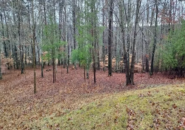 1st image of 0 Wilderness Lane, Spencer, TN 38585 | MLS# 2797178