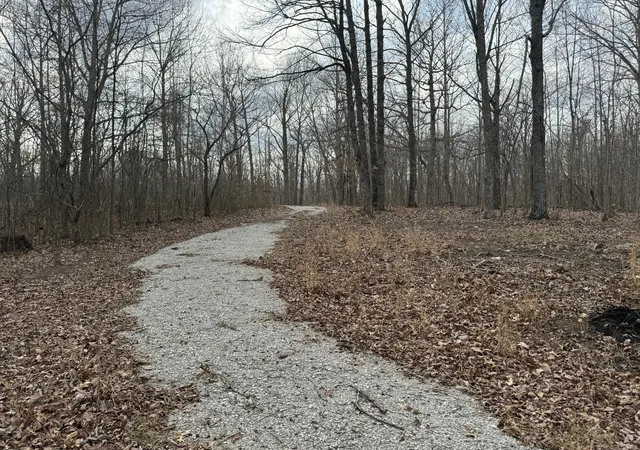 12th image of 0 Hummingbird Lane, Monteagle, TN 37356 | MLS# 2802372