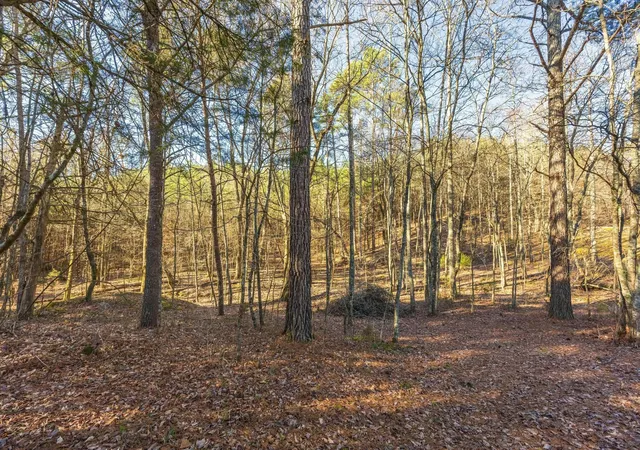 16th image of 0 Georgetown Road, Cleveland, TN 37312 | MLS# 3124656