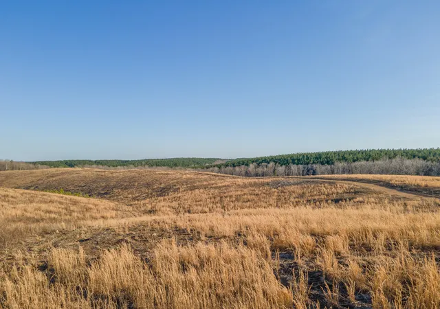 2nd image of 124 Center Ridge Dr, Hohenwald, TN 38462 | MLS# 2806384