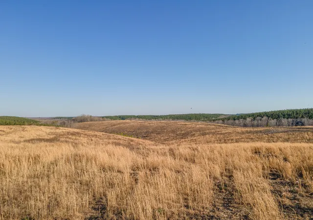 27th image of 124 Center Ridge Dr, Hohenwald, TN 38462 | MLS# 2806384