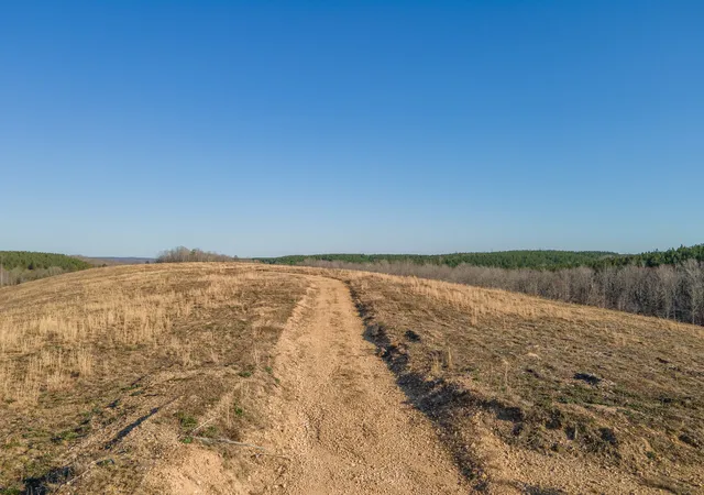 4th image of 124 Center Ridge Dr, Hohenwald, TN 38462 | MLS# 2806384