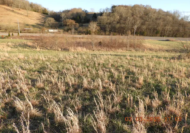 Homes for sale in Frankewing, TN | 0 Pulaski Hwy, Frankewing, TN 38459 | MLS# 2800425