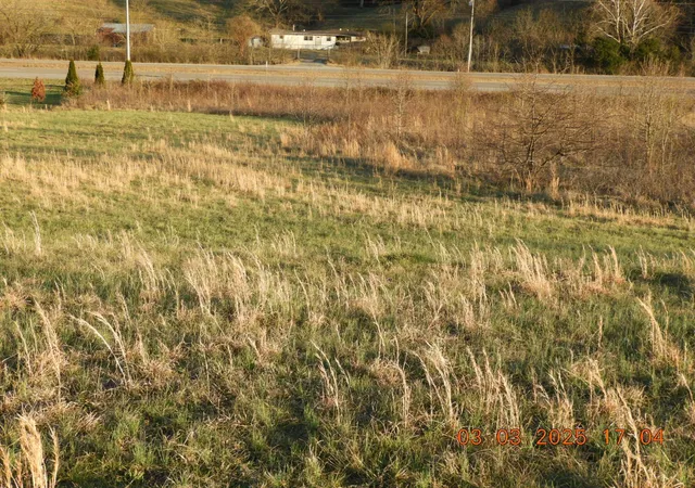 Homes for sale in Frankewing, TN | 0 Pulaski Hwy, Frankewing, TN 38459 | MLS# 2800425