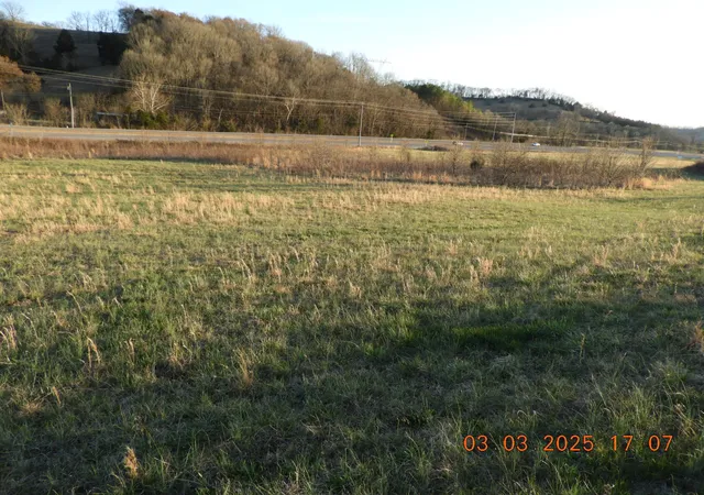 Homes for sale in Frankewing, TN | 0 Pulaski Hwy, Frankewing, TN 38459 | MLS# 2800425