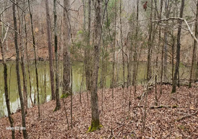 Photo 3 of Land for sale at 19 N Hwy 411, Crandall, GA 30711 | MLS# 3032441 | Listing updated on 2026-07-06