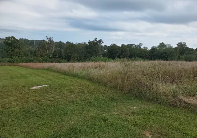 3rd image of 87C Mallard Rd, Hilham, TN 38568 | MLS# 2802336
