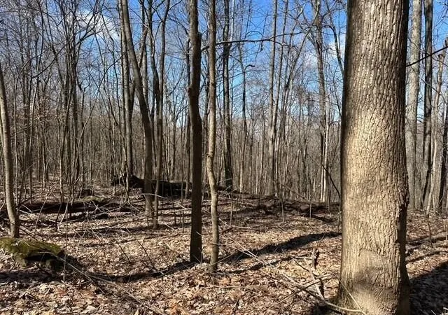 2nd image of 176 Sr 108, Morrison, TN 37357 | MLS# 2802234
