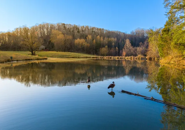 Photo 3 of Sale Pending at 4975 Browntown Road, Chattanooga, TN 37415 | MLS# 2930035 | Listing updated on 2026-08-13