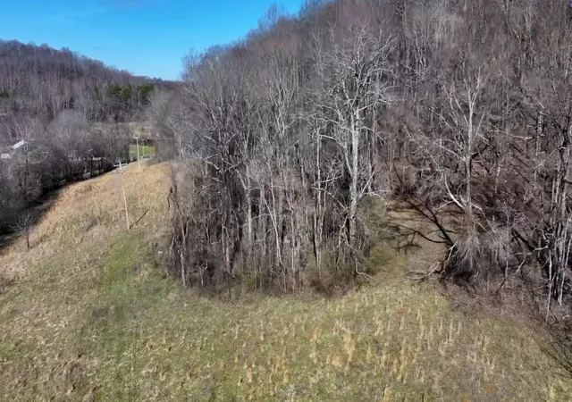 Homes for sale in Mount Pleasant, TN | 1 Enterprise Rd, Mount Pleasant, TN 38474 | MLS# 2802793