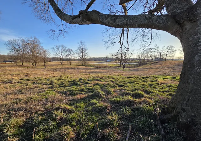 1st image of 0 Homer Worsham Road, Springfield, TN 37172 | MLS# 2803457