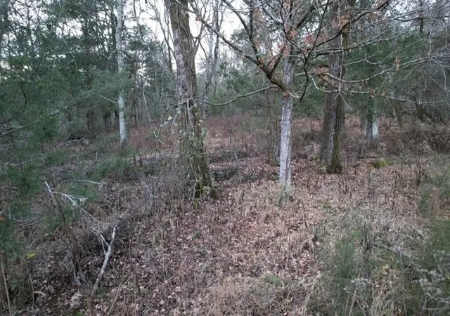 2nd image of 0 Interstate 65 Access Road, Pulaski, TN 38478 | MLS# 2803424