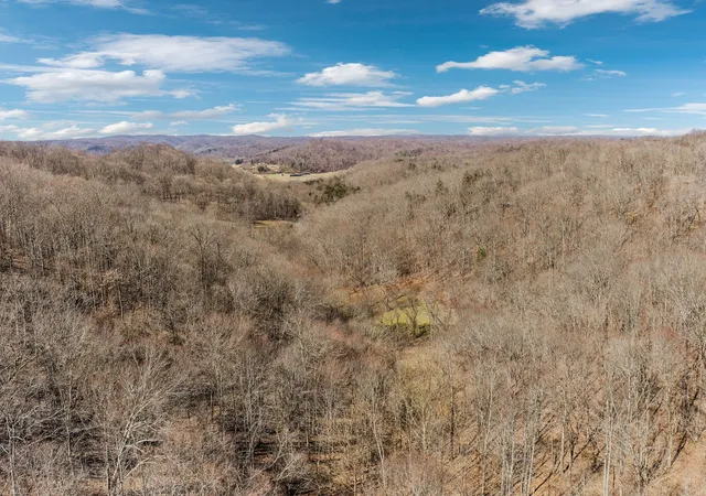 61st image of 6528 Neely Creek Rd, Celina, TN 38551 | MLS# 2806260