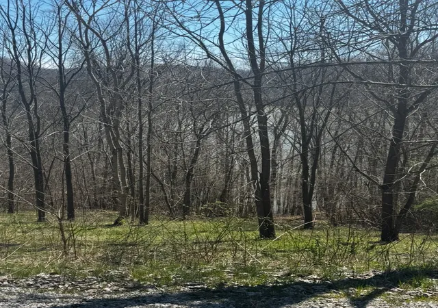 Photo 4 of Land for sale at 73 Waterwalk Ct, Smithville, TN 37166 | MLS# 2806557 | Listing updated on 2026-03-29