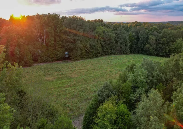 Photo 1 of Land for sale at 1651 Yellow Crk, Dickson, TN 37055 | MLS# 2807789 | Listing updated on 2026-06-29