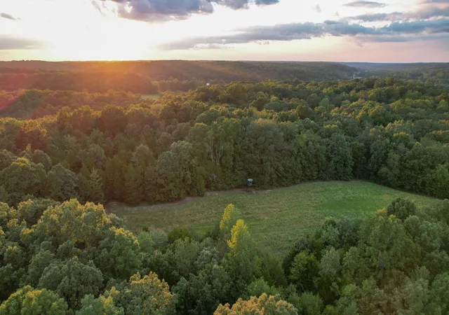 Photo 2 of Land for sale at 1651 Yellow Crk, Dickson, TN 37055 | MLS# 2807789 | Listing updated on 2026-06-29