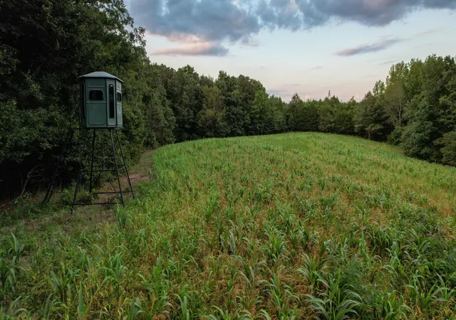 Photo 3 of Land for sale at 1651 Yellow Crk, Dickson, TN 37055 | MLS# 2807789 | Listing updated on 2026-06-29