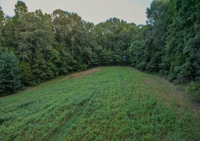 Photo 3 of House for sale at 1651 Yellow Crk, Dickson, TN 37055 | MLS# 2807789 | Listing updated on 2026-06-29
