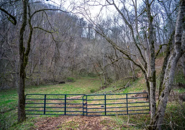 Homes for sale in Red Boiling Springs, TN | 1438 Wartrace Road, Red Boiling Springs, TN 37150 | MLS# 2808357