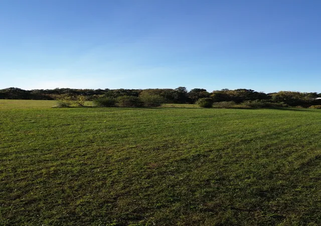Photo 1 of Land for sale at 646 Barnes Ml Rd, Smithville, TN 37166 | MLS# 2808362 | Listing updated on 2026-08-24