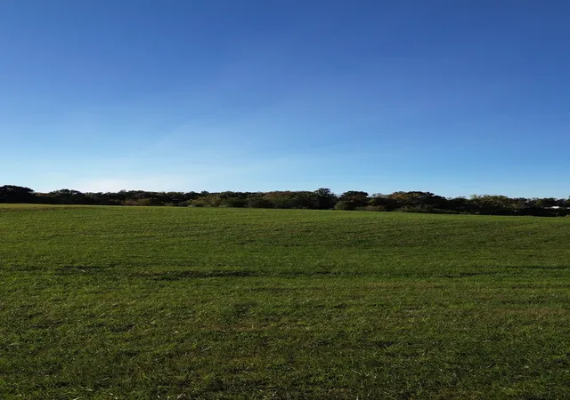 Photo 3 of Land for sale at 646 Barnes Ml Rd, Smithville, TN 37166 | MLS# 2808362 | Listing updated on 2026-08-24