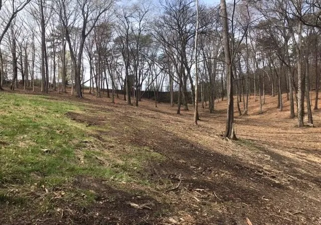 1st image of 0 Tell Street, Athens, TN 37303 | MLS# 3186047