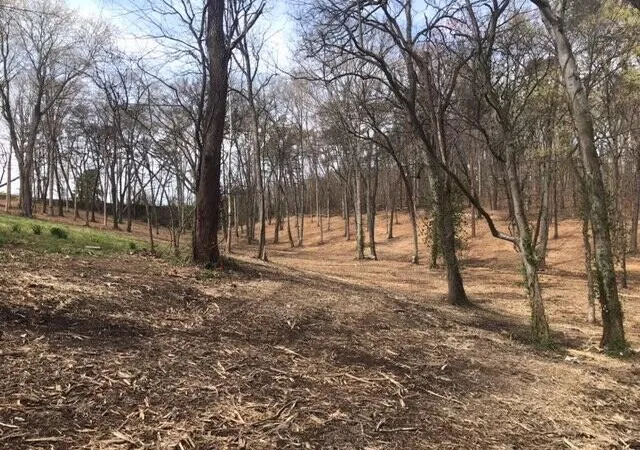 image of 0 Tell Street, Athens, TN 37303 | MLS# 3186047