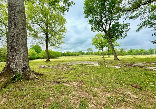 Homes for sale in Unionville, TN | 0 Burnt Hill Rd, Unionville, TN 37180 | MLS# 2816335