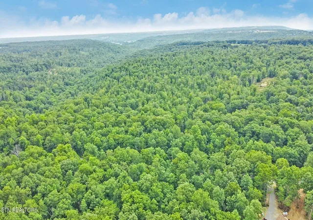 5th image of 0 Simmions Rd, Pikeville, TN 37367 | MLS# 2810020