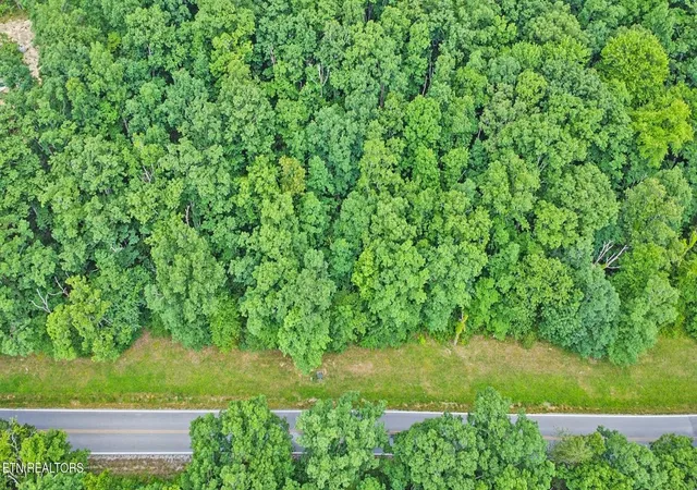 8th image of 0 Simmions Rd, Pikeville, TN 37367 | MLS# 2810020
