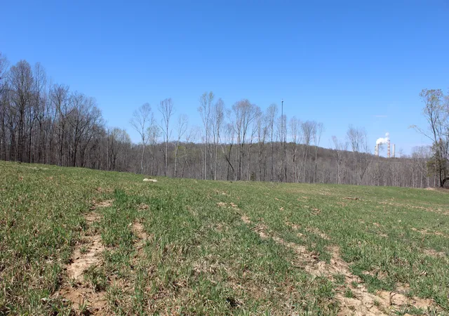Homes for sale in Cumberland City, TN | 1 Grices Creek Rd, Cumberland City, TN 37050 | MLS# 2809845