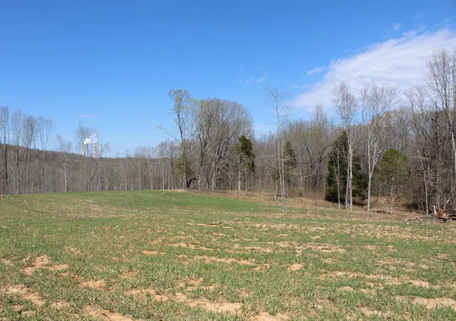 Homes for sale in Cumberland City, TN | 1 Grices Creek Rd, Cumberland City, TN 37050 | MLS# 2809845