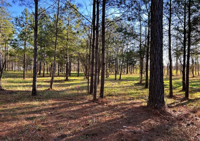 Homes for sale in Calhoun, TN | 4 County Road 950, Calhoun, TN 37309 | MLS# 3244179
