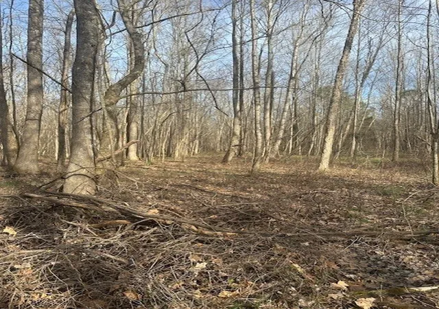 16th image of 4401 Spring Creek Road, Lavinia, TN 38348 | MLS# 2811327