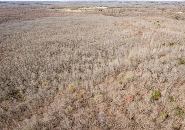 3rd image of 4401 Spring Creek Road, Lavinia, TN 38348 | MLS# 2811327