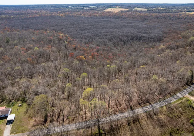 4th image of 4401 Spring Creek Road, Lavinia, TN 38348 | MLS# 2811327