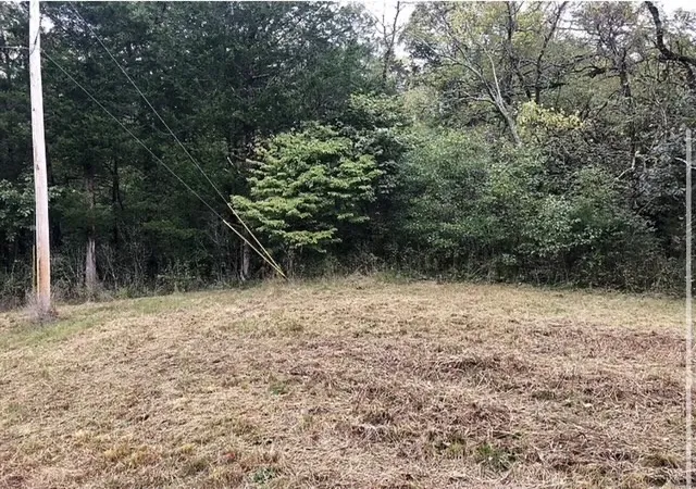 Homes for sale in Auburntown, TN | 0 Poplar Bluff Rd W, Auburntown, TN 37016 | MLS# 2811548