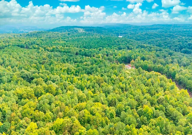 5th image of 0 Spokelay Rd, Spencer, TN 38585 | MLS# 2812627