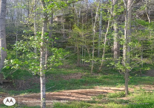 2nd image of 120 Donnelly Ln, Ashland City, TN 37015 | MLS# 2820930