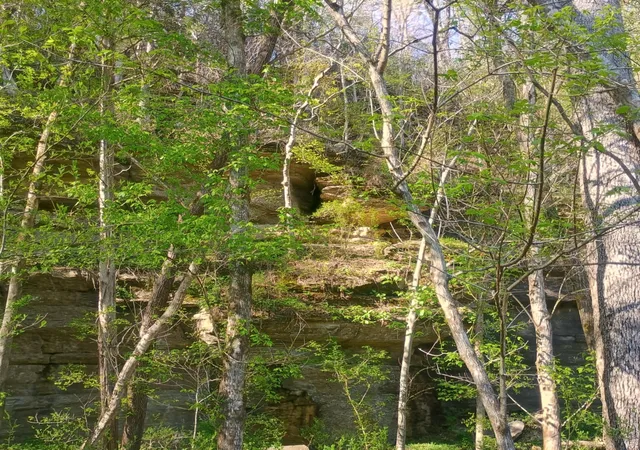 25th image of 120 Donnelly Ln, Ashland City, TN 37015 | MLS# 2820930